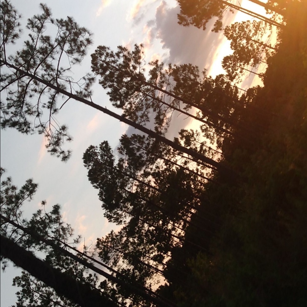 Meet your Posher, Whitney